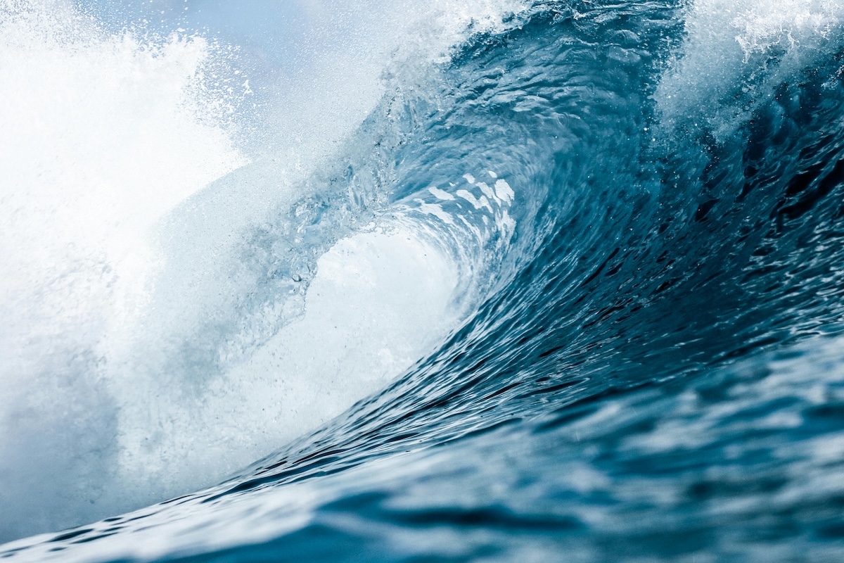 AMU Surf Club