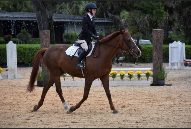 Equestrian